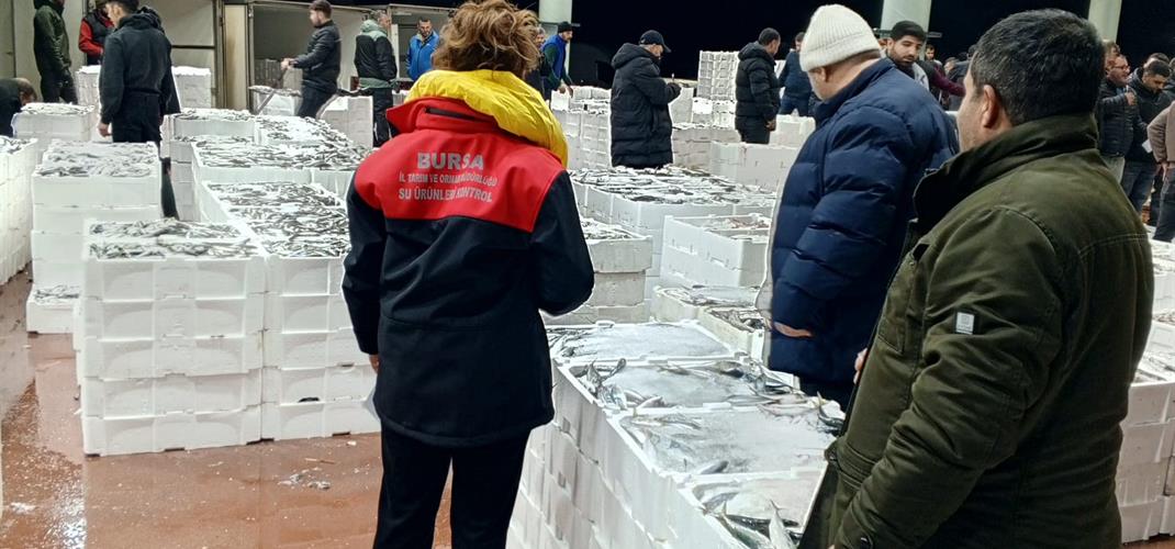 Bursa Su Ürünleri Halinde Denetimlerimiz Devam Ediyor